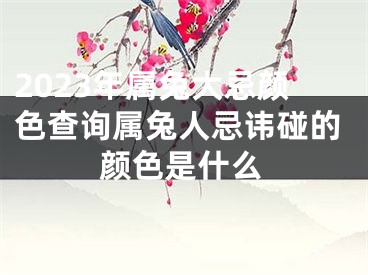 2023年属兔大忌颜色查询属兔人忌讳碰的颜色是什么