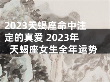 2023天蝎座命中注定的真爱 2023年天蝎座女生全年运势