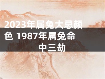 2023年属兔大忌颜色 1987年属兔命中三劫