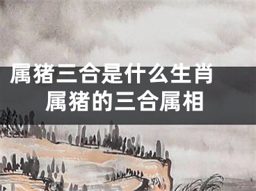 属猪三合是什么生肖 属猪的三合属相