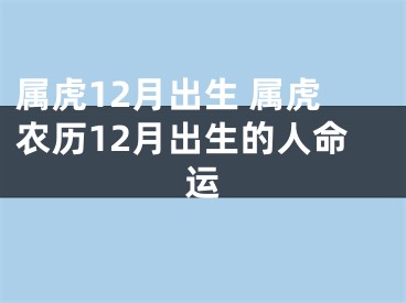 属虎12月出生 属虎农历12月出生的人命运