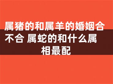 属猪的和属羊的婚姻合不合 属蛇的和什么属相最配