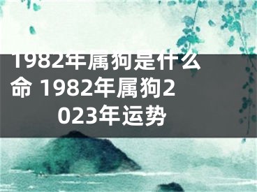 1982年属狗是什么命 1982年属狗2023年运势