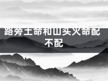 路旁土命和山头火命配不配