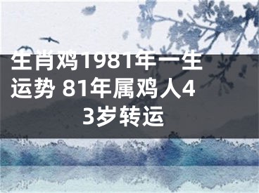 生肖鸡1981年一生运势 81年属鸡人43岁转运