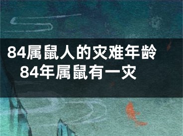 84属鼠人的灾难年龄 84年属鼠有一灾