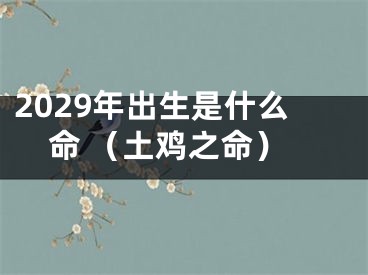 2029年出生是什么命 （土鸡之命）