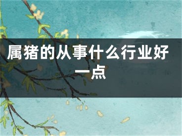 属猪的从事什么行业好一点