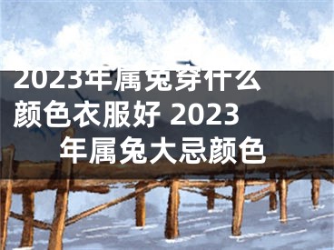 2023年属兔穿什么颜色衣服好 2023年属兔大忌颜色