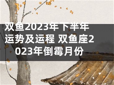 双鱼2023年下半年运势及运程 双鱼座2023年倒霉月份