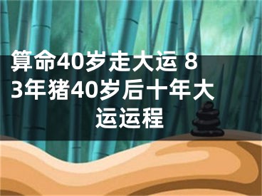 算命40岁走大运 83年猪40岁后十年大运运程