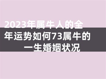 2023年属牛人的全年运势如何73属牛的一生婚姻状况