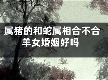 属猪的和蛇属相合不合 羊女婚姻好吗
