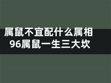 属鼠不宜配什么属相 96属鼠一生三大坎