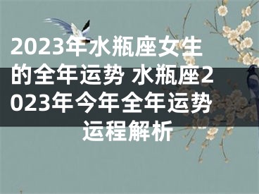 2023年水瓶座女生的全年运势 水瓶座2023年今年全年运势运程解析