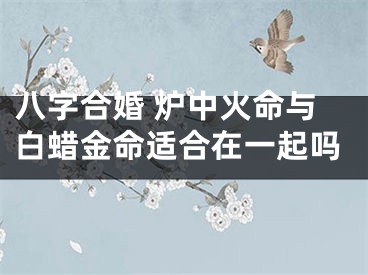 八字合婚 炉中火命与白蜡金命适合在一起吗