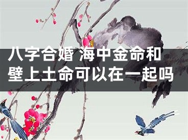 八字合婚 海中金命和壁上土命可以在一起吗