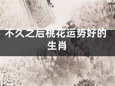 不久之后桃花运势好的生肖