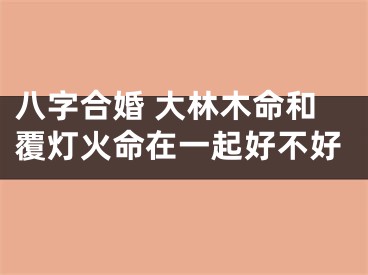 八字合婚 大林木命和覆灯火命在一起好不好