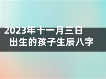 2023年十一月三日出生的孩子生辰八字