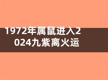 1972年属鼠进入2024九紫离火运