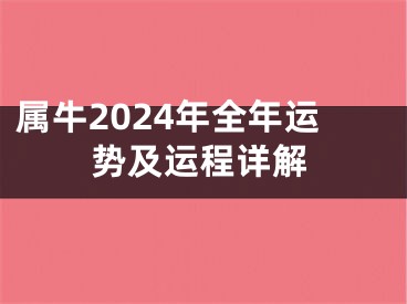 属牛2024年全年运势及运程详解