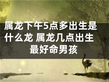 属龙下午5点多出生是什么龙 属龙几点出生最好命男孩