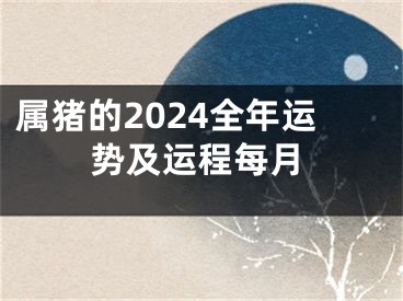 属猪的2024全年运势及运程每月