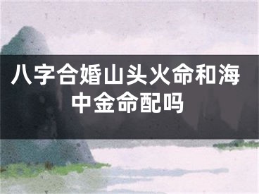 八字合婚山头火命和海中金命配吗