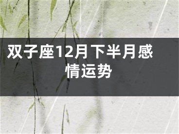 双子座12月下半月感情运势