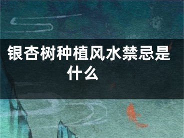 银杏树种植风水禁忌是什么 
