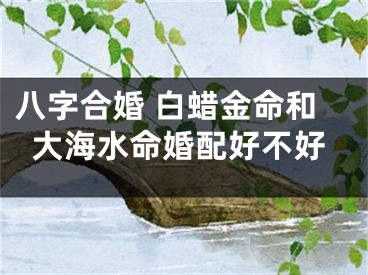 八字合婚 白蜡金命和大海水命婚配好不好
