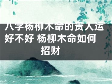 八字杨柳木命的贵人运好不好 杨柳木命如何招财 