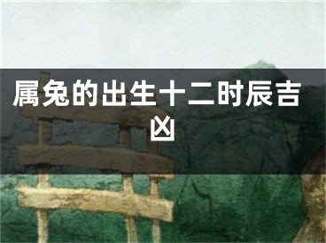 属兔的出生十二时辰吉凶