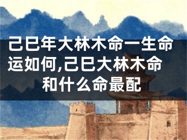 己巳年大林木命一生命运如何,己巳大林木命和什么命最配