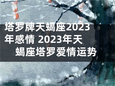 塔罗牌天蝎座2023年感情 2023年天蝎座塔罗爱情运势