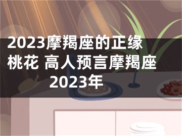 2023摩羯座的正缘桃花 高人预言摩羯座2023年