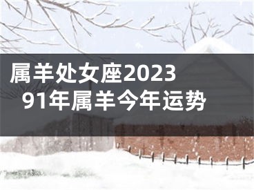 属羊处女座2023 91年属羊今年运势