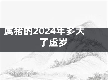 属猪的2024年多大了虚岁