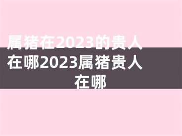 属猪在2023的贵人在哪2023属猪贵人在哪
