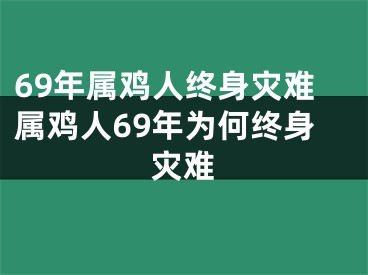 69年属鸡人终身灾难属鸡人69年为何终身灾难