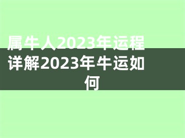 属牛人2023年运程详解2023年牛运如何