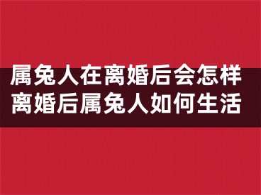 属兔人在离婚后会怎样离婚后属兔人如何生活