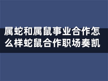 属蛇和属鼠事业合作怎么样蛇鼠合作职场奏凯