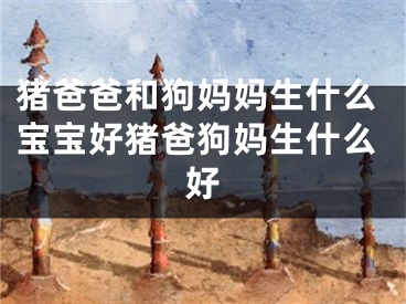 猪爸爸和狗妈妈生什么宝宝好猪爸狗妈生什么好
