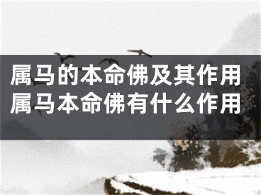 属马的本命佛及其作用属马本命佛有什么作用