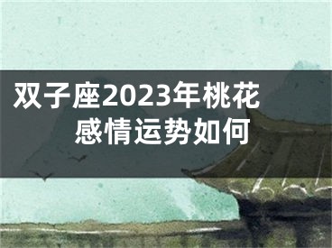 双子座2023年桃花感情运势如何