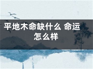 平地木命缺什么 命运怎么样