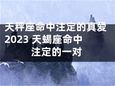 天秤座命中注定的真爱2023 天蝎座命中注定的一对