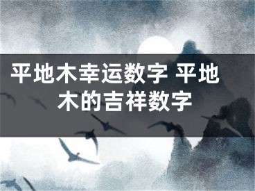 平地木幸运数字 平地木的吉祥数字